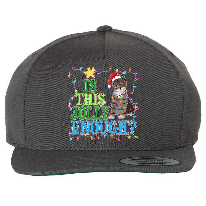 Funny Christmas Is This Jolly Enough Tangled Lights Cat Wool Snapback Cap