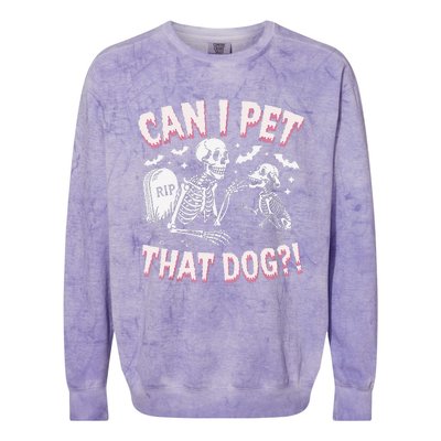 Funny Can I Pet That Dog Halloween Skeleton Spooky Season Colorblast Crewneck Sweatshirt