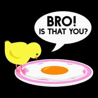 Funny Chicken Is That You Bro Pom Pom 12in Knit Beanie