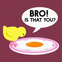Funny Chicken Is That You Bro 16oz Travel Tumbler