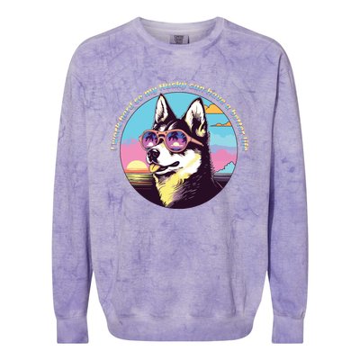 Funny Cute I Work Hard So My Husky Can Have A Better Life Colorblast Crewneck Sweatshirt