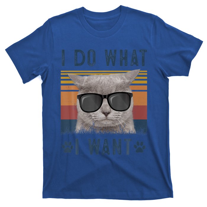 Funny Cat I Do What I Want Cat Retro 90s Cat Lovers Gift T-Shirt