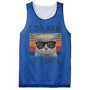 Funny Cat I Do What I Want Cat Retro 90s Cat Lovers Gift Mesh Reversible Basketball Jersey Tank