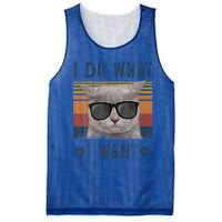 Funny Cat I Do What I Want Cat Retro 90s Cat Lovers Gift Mesh Reversible Basketball Jersey Tank