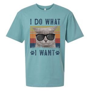 Funny Cat I Do What I Want Cat Retro 90s Cat Lovers Gift Sueded Cloud Jersey T-Shirt