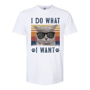 Funny Cat I Do What I Want Cat Retro 90s Cat Lovers Gift Softstyle CVC T-Shirt