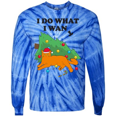 Funny Cat I Do What I Want Christmas Graphic Gift Tie-Dye Long Sleeve Shirt