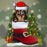 Funny Chihuahua In The Shoe Santa Hat Ugly Christmas Sweater Cool Gift Legacy Tie Dye Trucker Hat