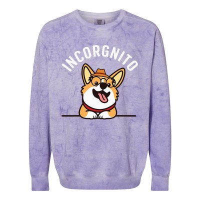 Funny Corgi Incorgnito Art For Corgi Dog Lovers Colorblast Crewneck Sweatshirt