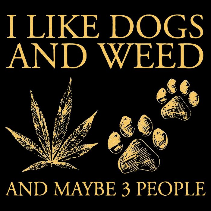 Funny Cannabis I Like Dogs And Weed And Maybe 3 People Gift Drawstring Bag