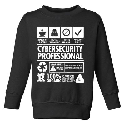 Funny Cybersecurity It Support It Security Network Engineer Toddler Sweatshirt