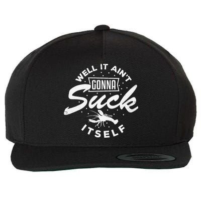 Funny Crawfish It Aint Gonna Suck Itself Crayfish Men Wool Snapback Cap