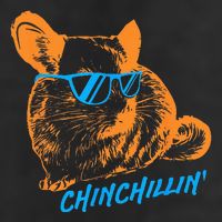 Funny Chinchillin I Chinchilla Owners Adult Drive Performance Visor