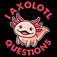 Funny Cute I Axolotl Questions Mug