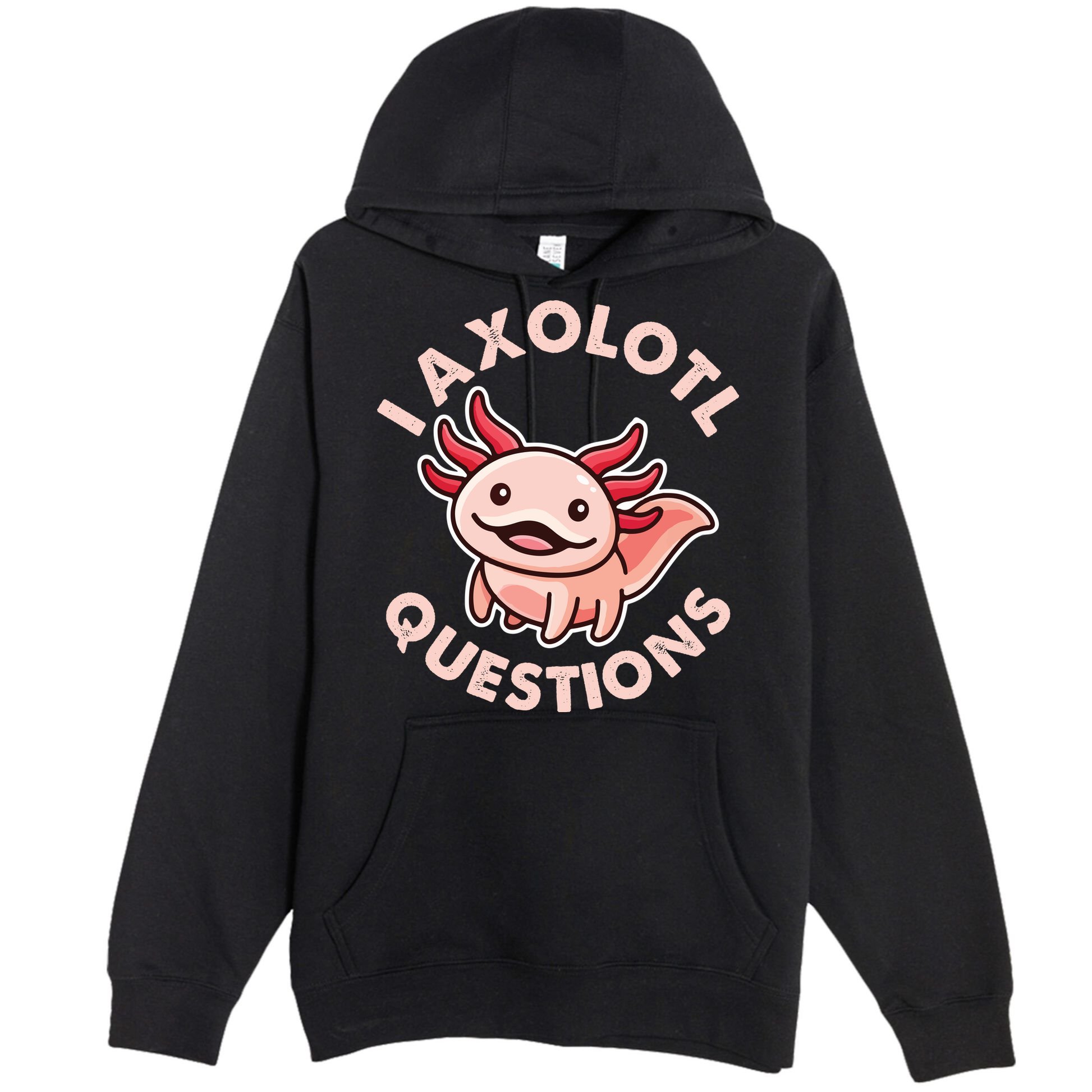 Funny Cute I Axolotl Questions Premium Pullover Hoodie