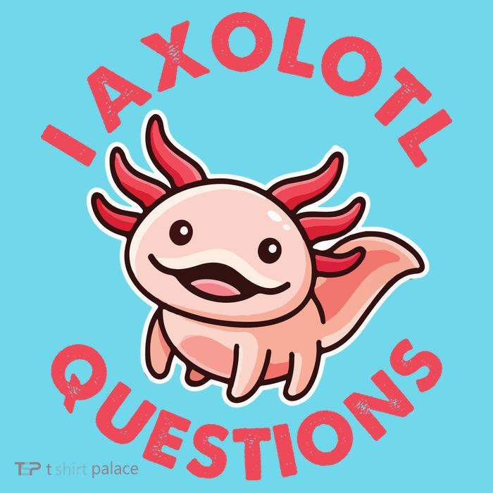 Funny Cute I Axolotl Questions Long Sleeve Shirt
