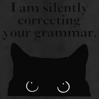 Funny Cat I Am Silently Correcting Your Grammar Hat