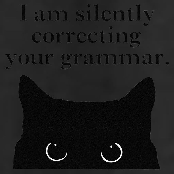 Funny Cat I Am Silently Correcting Your Grammar Hat