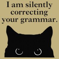 Funny Cat I Am Silently Correcting Your Grammar T-Shirt