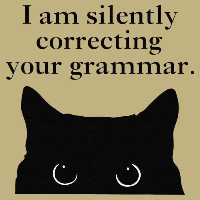 Funny Cat I Am Silently Correcting Your Grammar T-Shirt
