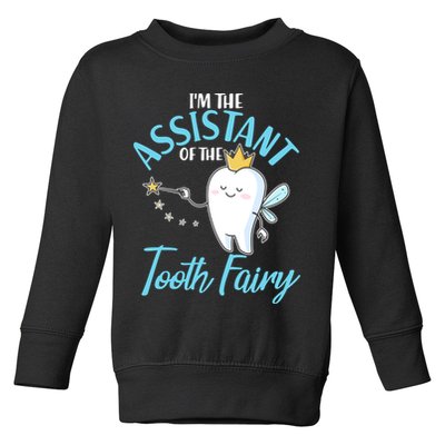 Funny Cute I'm The Assistant Tooth Fairy Toddler Sweatshirt