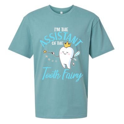 Funny Cute I'm The Assistant Tooth Fairy Sueded Cloud Jersey T-Shirt