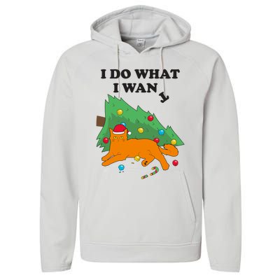 Funny Cat I Do What I Want Christmas Graphic Gift Cute Gift Performance Fleece Hoodie