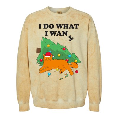 Funny Cat I Do What I Want Christmas Graphic Gift Cute Gift Colorblast Crewneck Sweatshirt