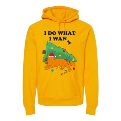 Funny Cat I Do What I Want Christmas Graphic Gift Cute Gift Premium Hoodie