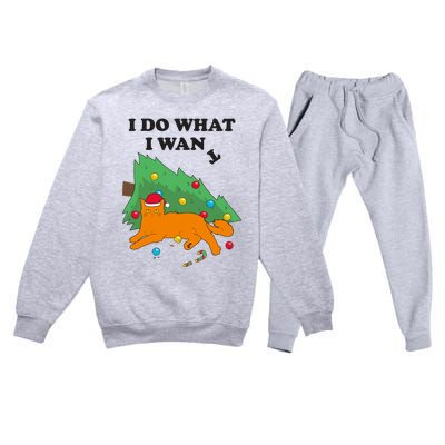 Funny Cat I Do What I Want Christmas Graphic Gift Cute Gift Premium Crewneck Sweatsuit Set