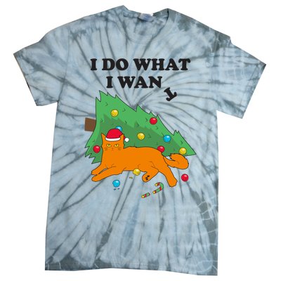 Funny Cat I Do What I Want Christmas Graphic Gift Cute Gift Tie-Dye T-Shirt