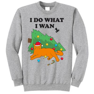 Funny Cat I Do What I Want Christmas Graphic Gift Cute Gift Sweatshirt