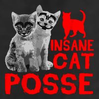 Funny Cat Insane Cat Posse Cool Comfort Performance Bucket Hat