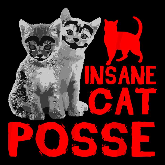 Funny Cat Insane Cat Posse Cooling Performance Long Sleeve Crew