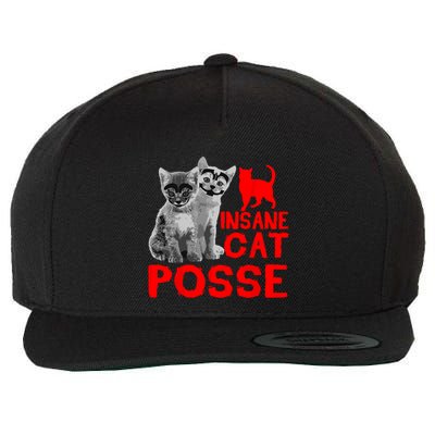 Funny Cat Insane Cat Posse Wool Snapback Cap