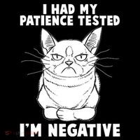 Funny Cat I Had My Patience Tested I'm Negative Toddler Sweatshirt