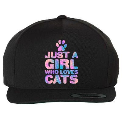 Funny Cute Just A Girl Who Loves Cats Wool Snapback Cap