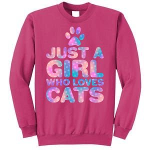 Funny Cute Just A Girl Who Loves Cats Sweatshirt