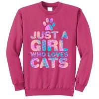 Funny Cute Just A Girl Who Loves Cats Sweatshirt