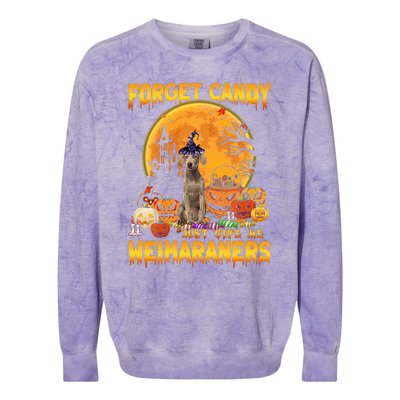 Forget Candy Just Give Me Weimaraners Pumpkin Halloween Gift Colorblast Crewneck Sweatshirt