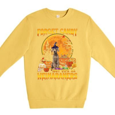 Forget Candy Just Give Me Weimaraners Pumpkin Halloween Gift Premium Crewneck Sweatshirt