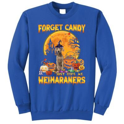 Forget Candy Just Give Me Weimaraners Pumpkin Halloween Gift Sweatshirt