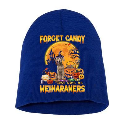 Forget Candy Just Give Me Weimaraners Pumpkin Halloween Gift Short Acrylic Beanie