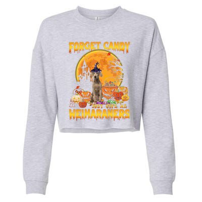 Forget Candy Just Give Me Weimaraners Pumpkin Halloween Gift Cropped Pullover Crew