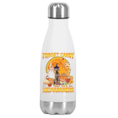 Forget Candy Just Give Me Weimaraners Pumpkin Halloween Gift Stainless Steel Insulated Water Bottle