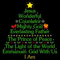 Funny Christmas Jesus Wonderful Counselor Mighty God Flat Bill Trucker Hat