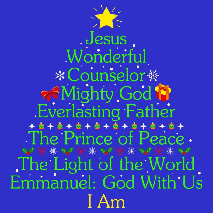 Funny Christmas Jesus Wonderful Counselor Mighty God Toddler T-Shirt