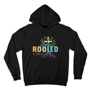 Faith Christian Jesus Lovers Rooted In Christ Hoodie