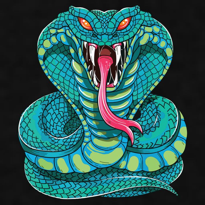 Fanged Cobra King Snake Fast Striking Fangs Bite Ladies PosiCharge Tri-Blend Wicking Tank