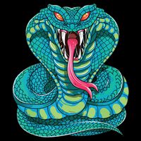 Fanged Cobra King Snake Fast Striking Fangs Bite Bucket Hat